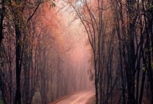 开云体育：CBA收官战杀红眼？辽篮苦主球迷输急了撒钱泄愤：裁判也跟着急了.