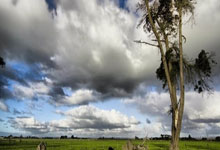 开云体育：意大利vs德国首发预测：巴雷拉领衔，拉斯帕多里搭档基恩.