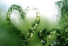 开云体育：太阳报：在挪威和摩尔多瓦的比赛中，一球迷试图冲入球场找哈兰德.